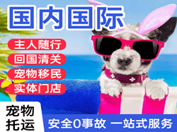西宁机场空运国际宠物托运 【国